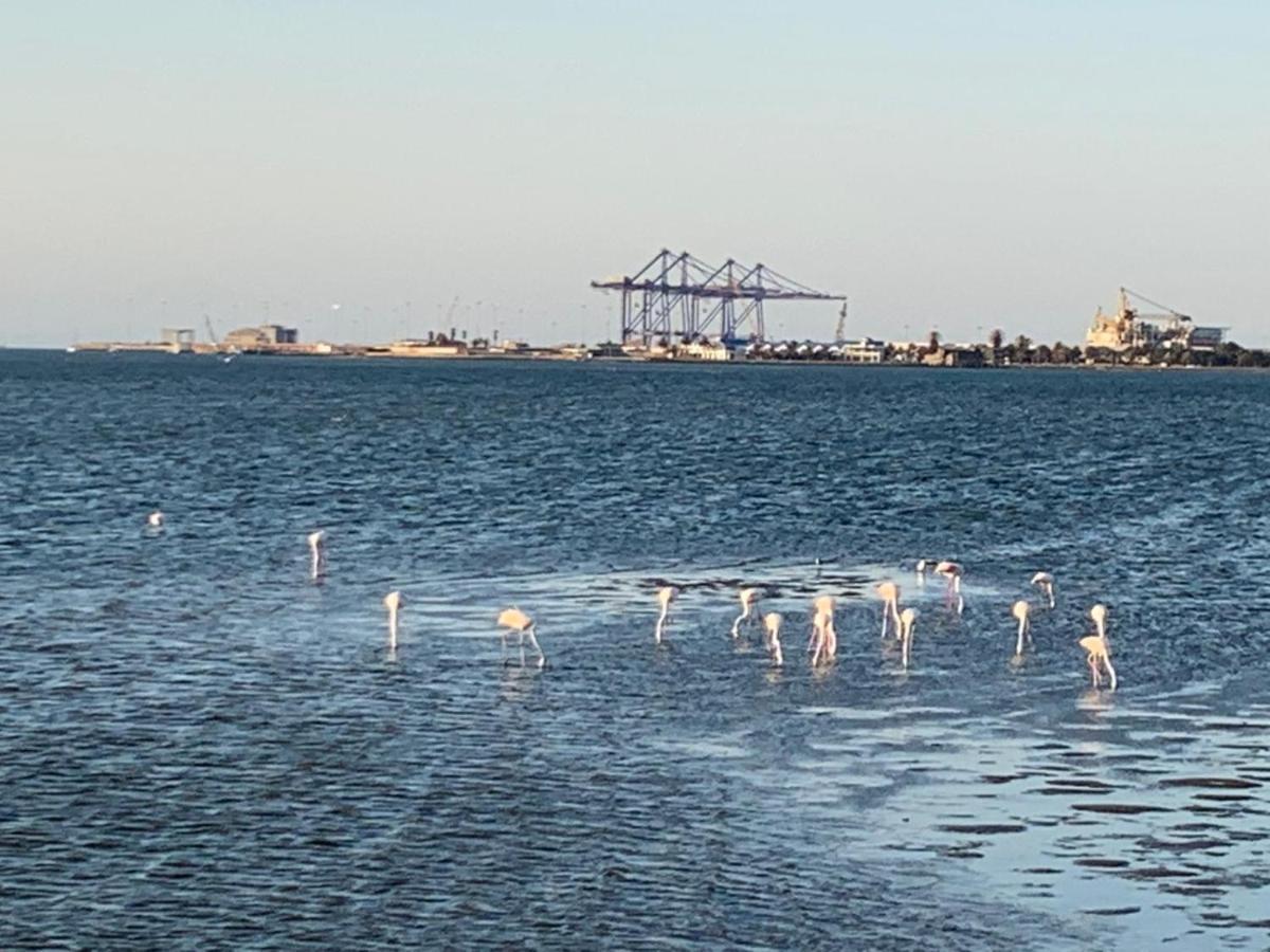 Mukulela Bed & Breakfast Walvis Bay Eksteriør bilde